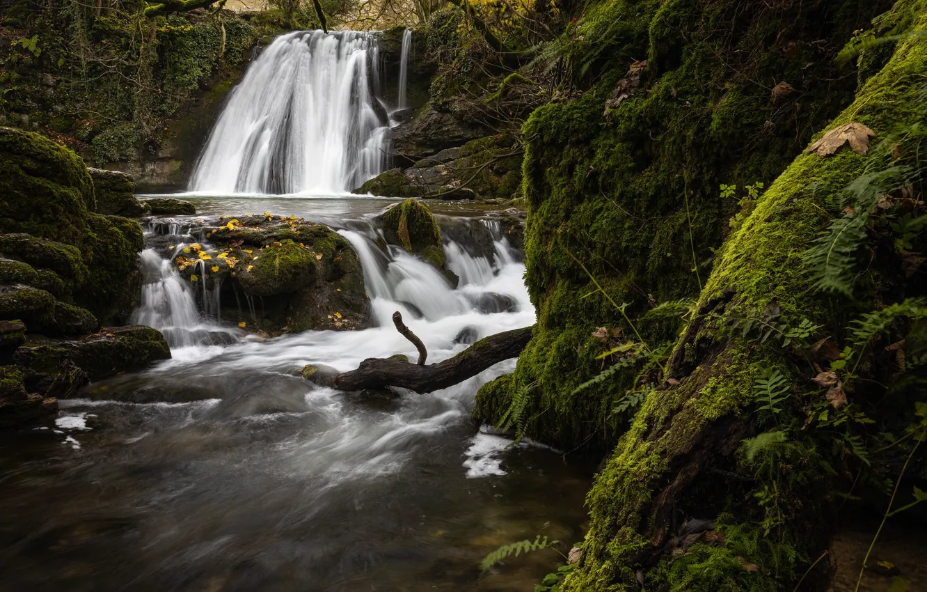 Photo wallpaper river, England, waterfall, moss, England, North Yorkshire, North Yorkshire, Malham