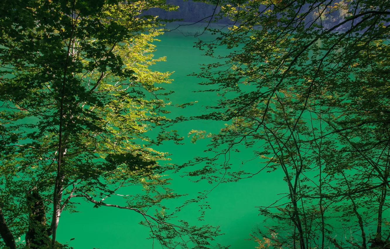 Photo wallpaper lake, Germany, Bayern, Königssee