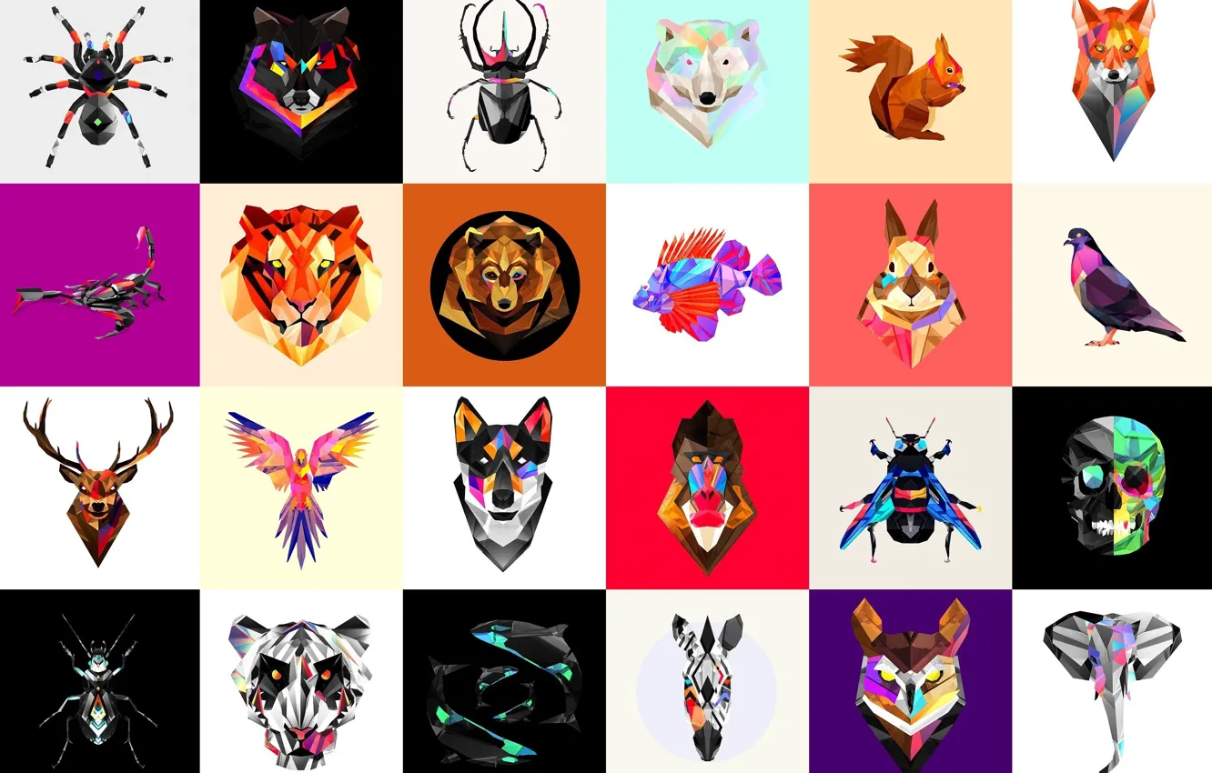 Photo wallpaper abstract, spider, sake, monkey, bear, fox, rabbit, dog