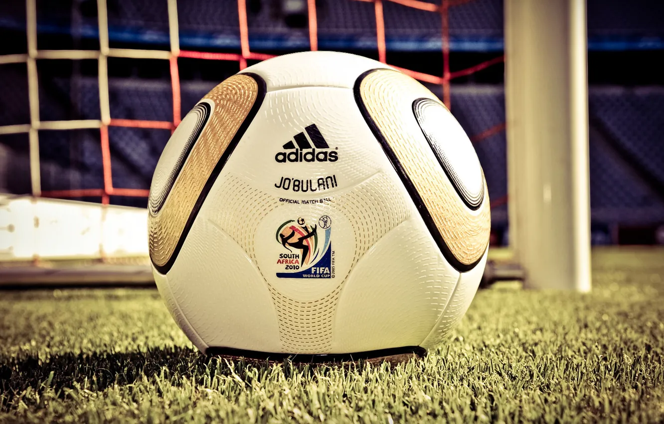 Photo wallpaper grass, photo, mesh, lawn, the ball, world, gate, 2010