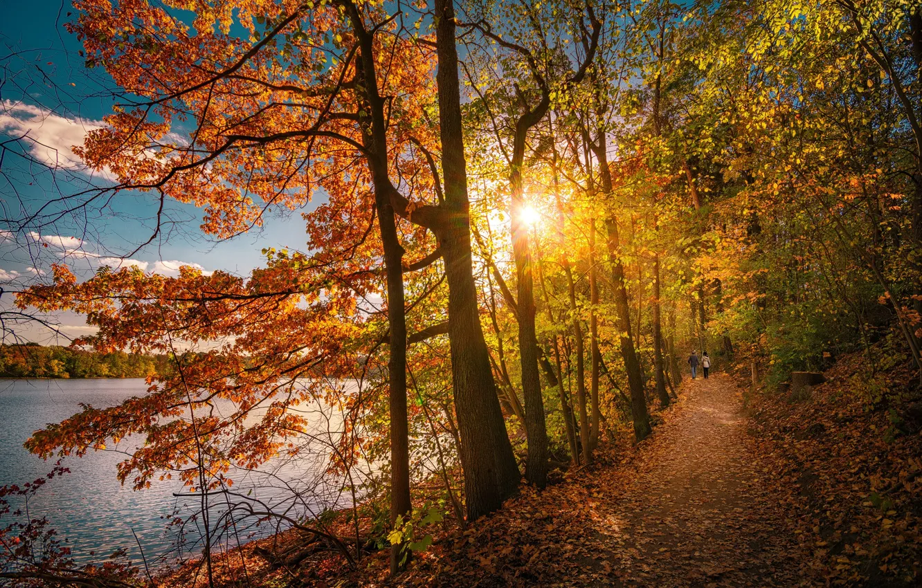 Photo wallpaper autumn, trees, lake, Park, path