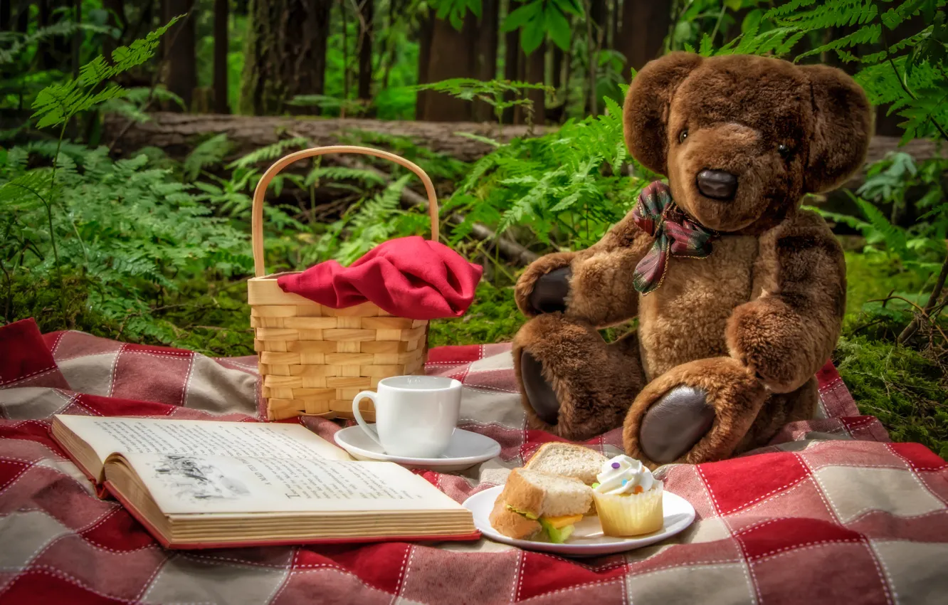 Photo wallpaper nature, toy, bear, Cup, book, picnic, basket, sandwiches