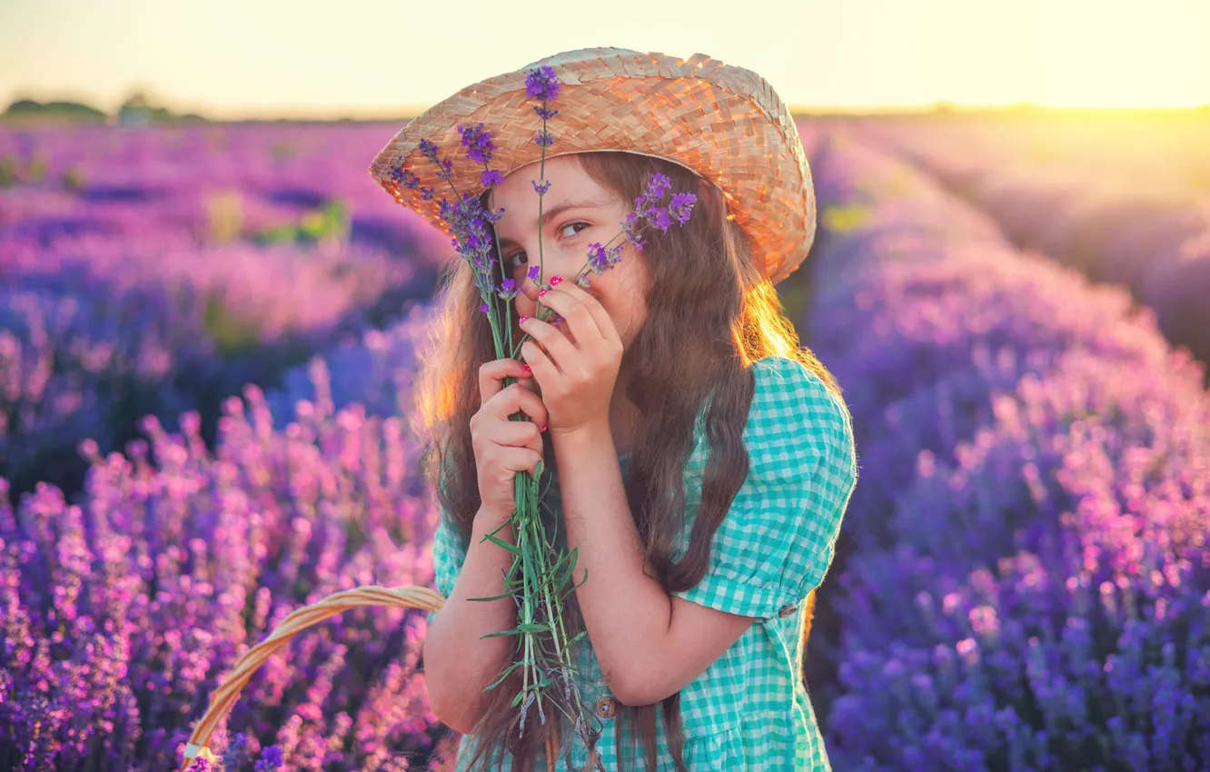 Photo wallpaper field, summer, look, light, flowers, nature, pose, mood