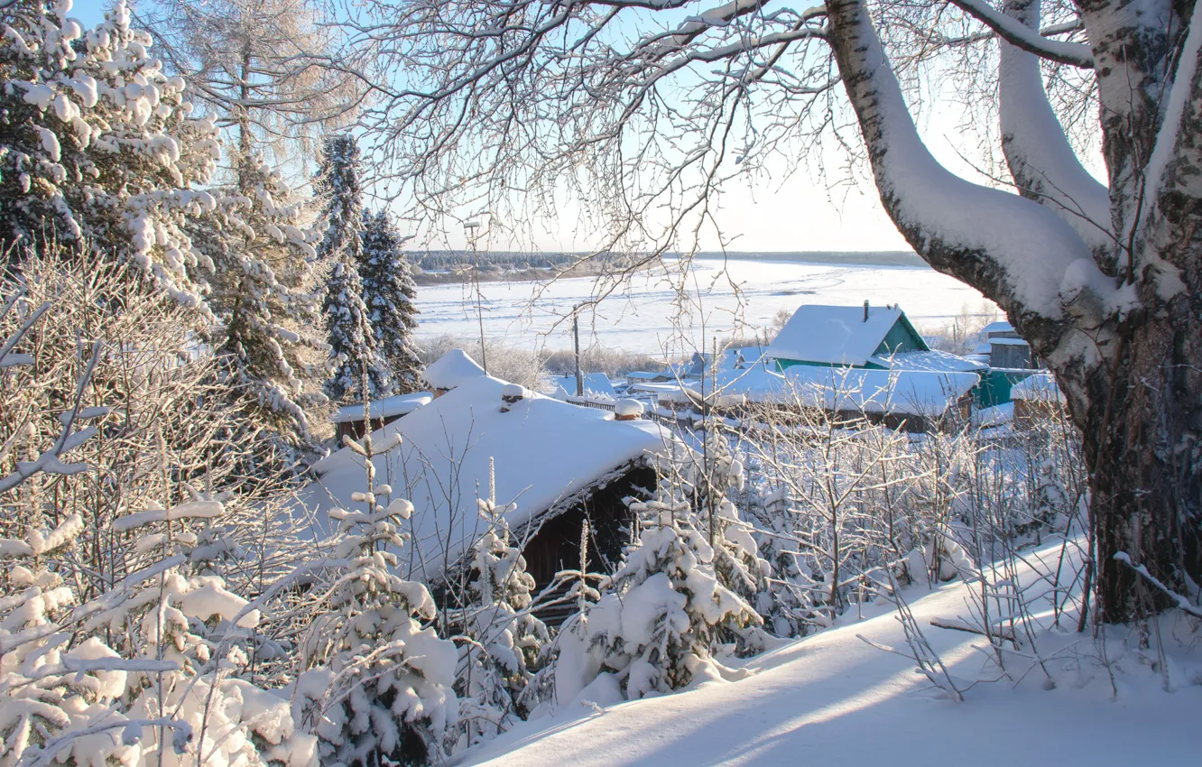 Photo wallpaper winter, snow, trees, landscape, nature, river, home, Pechora