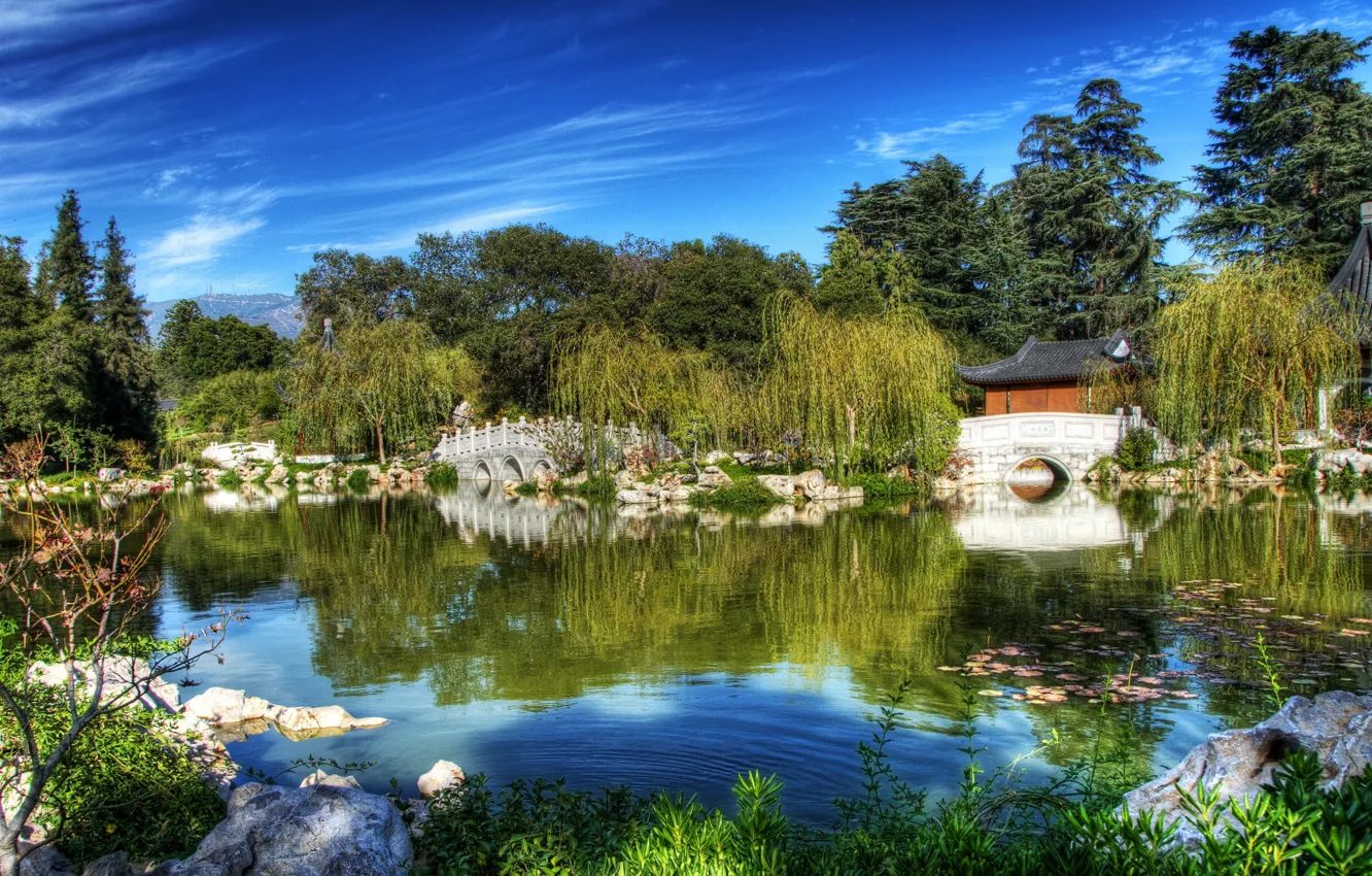 Photo wallpaper nature, pond, garden, USA, California, San Marino, chinese