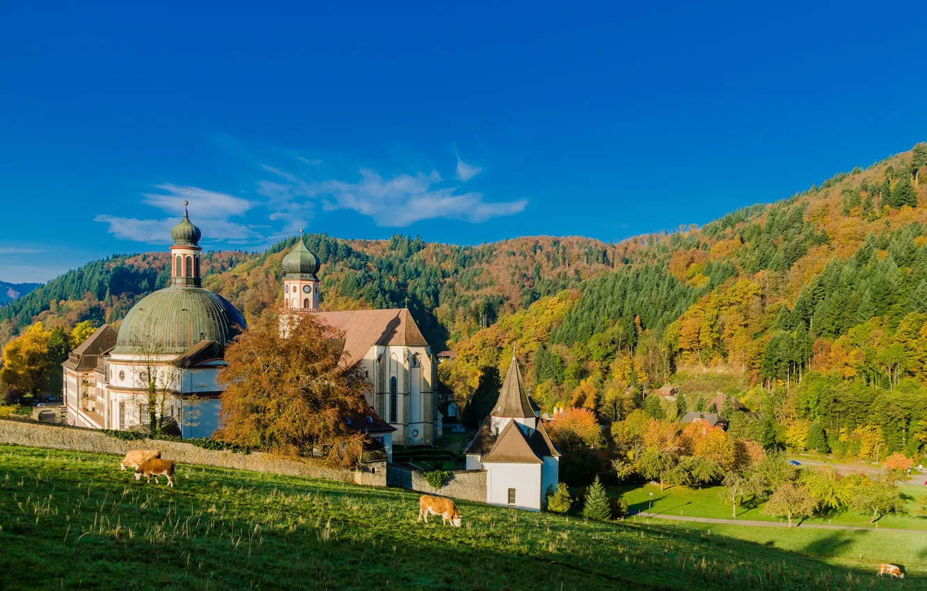 Photo wallpaper autumn, forest, Germany, cows, meadow, the monastery, Germany, Baden-Württemberg
