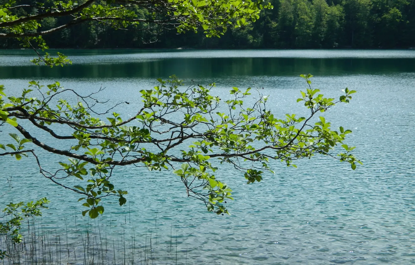 Photo wallpaper Germany, Clean, Bayern, Feet, Green, Alatsee