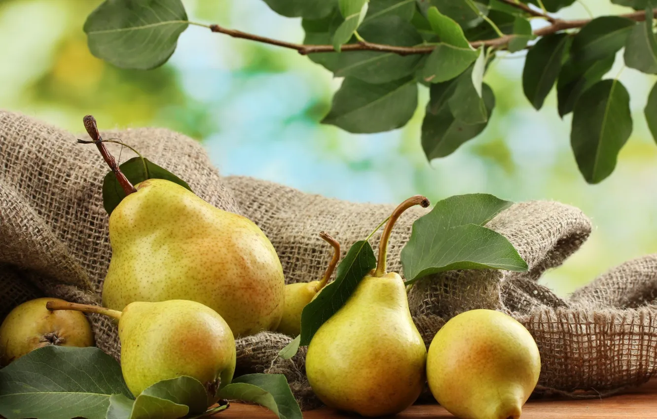 Photo wallpaper harvest, fruit, pear