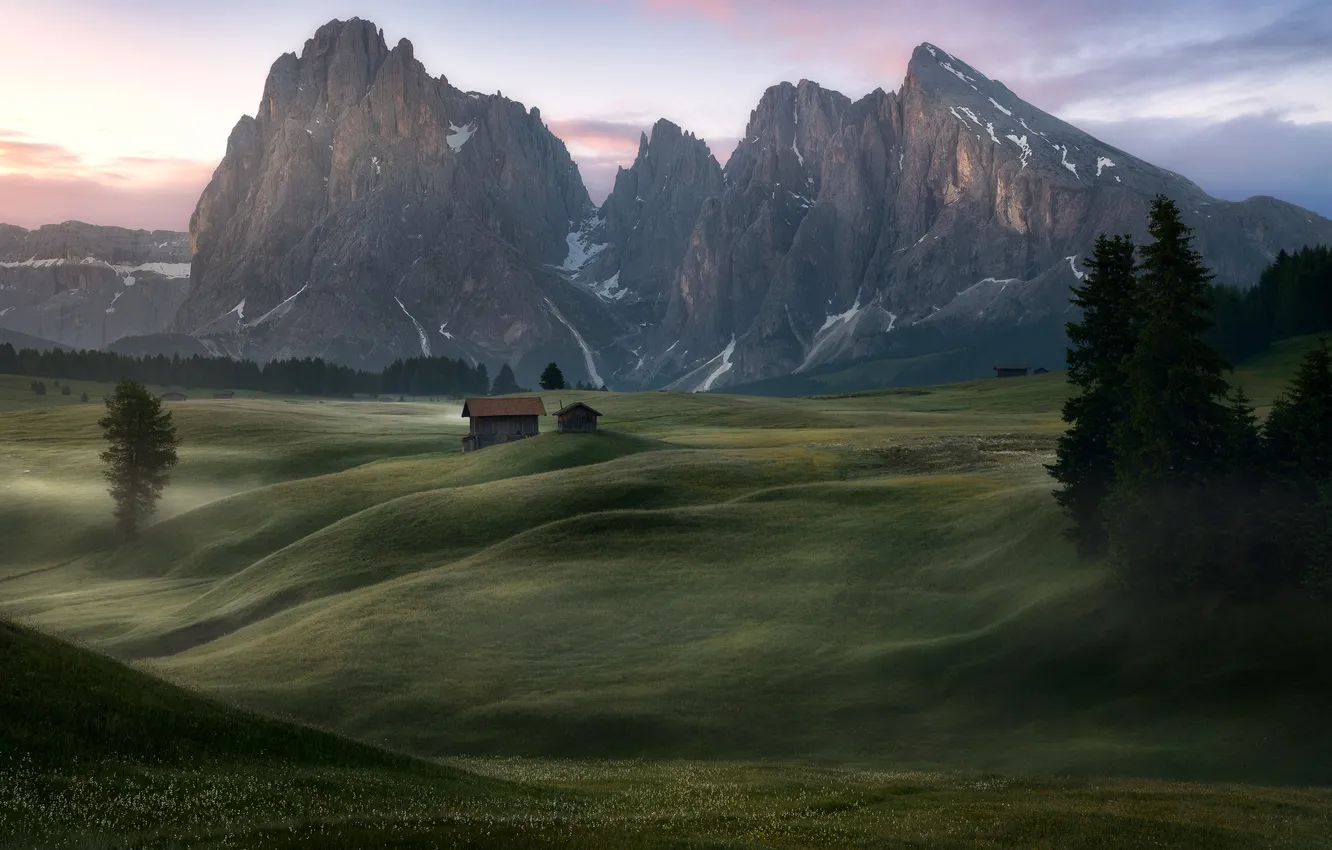 Photo wallpaper field, forest, mountains, fog, hills, Alps, house