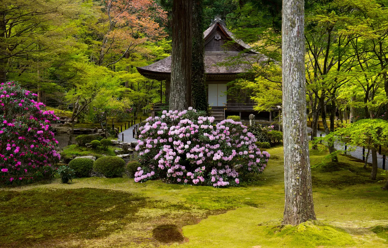 Photo wallpaper greens, grass, trees, flowers, Park, stones, lawn, Japan