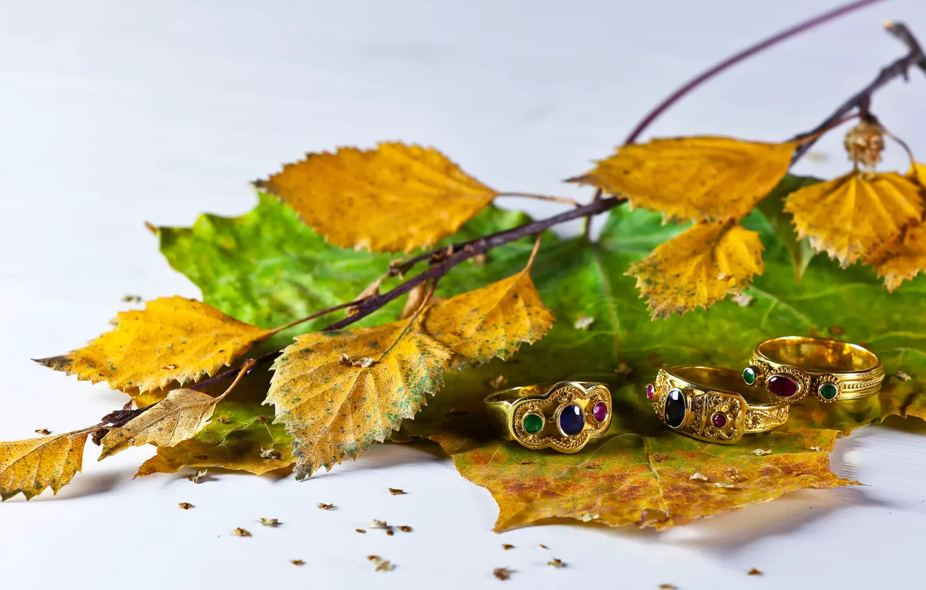 Photo wallpaper leaves, decoration, ring