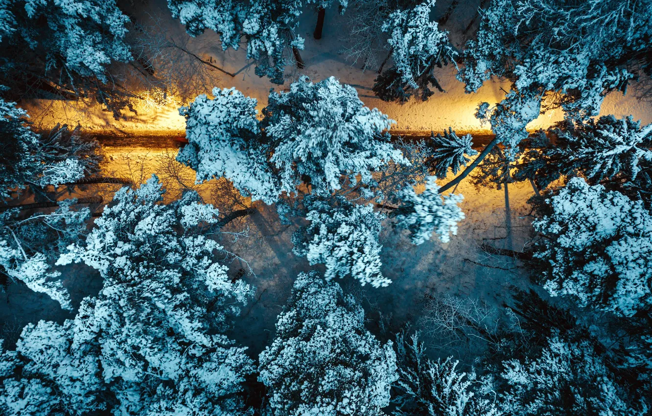 Photo wallpaper winter, night, Park
