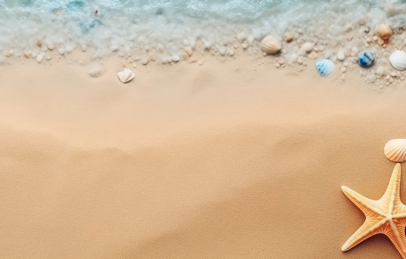 Photo wallpaper sand, sea, beach, summer, the sky, shore, shell, summer