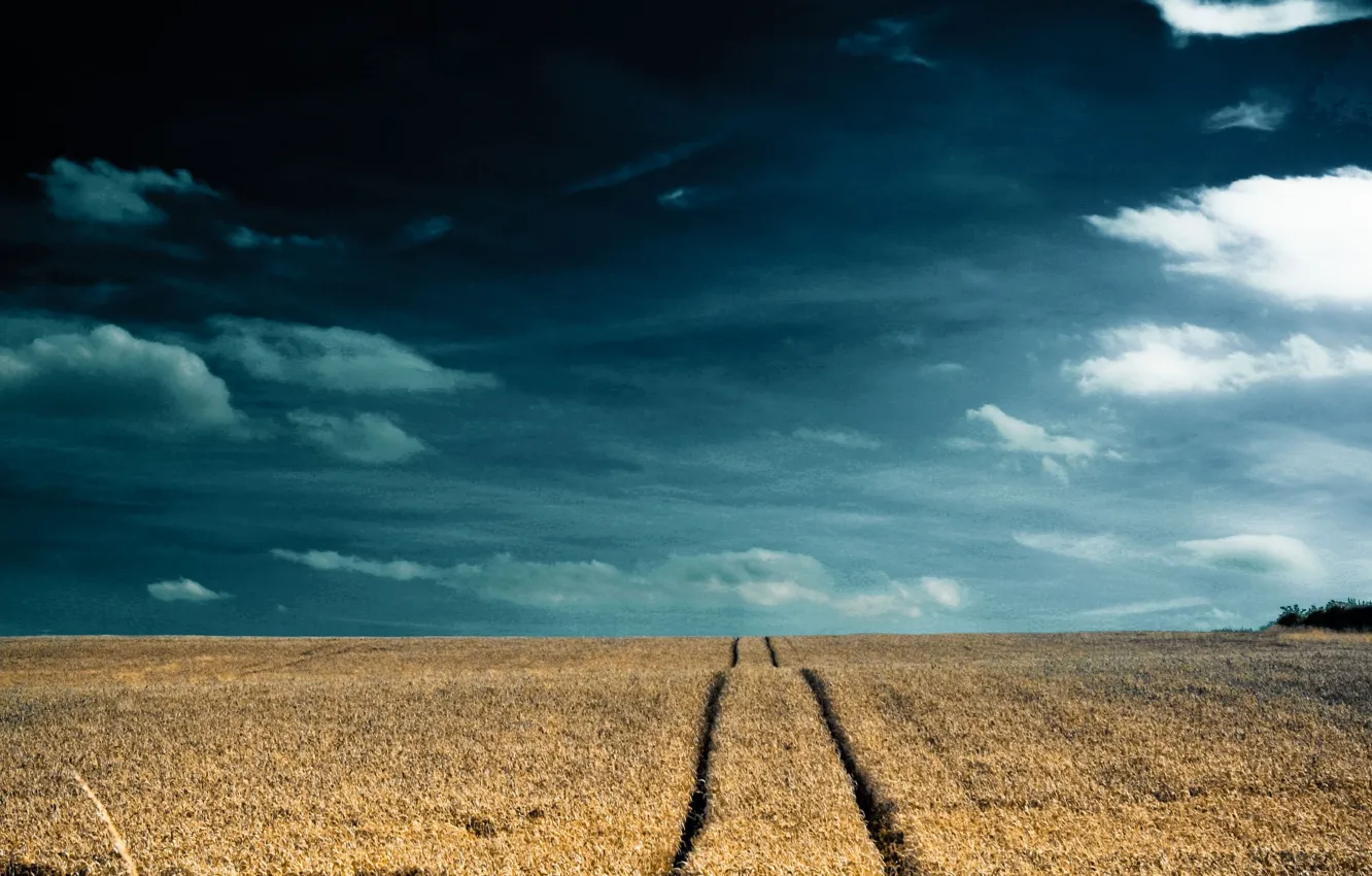 Photo wallpaper road, field, the sky, clouds