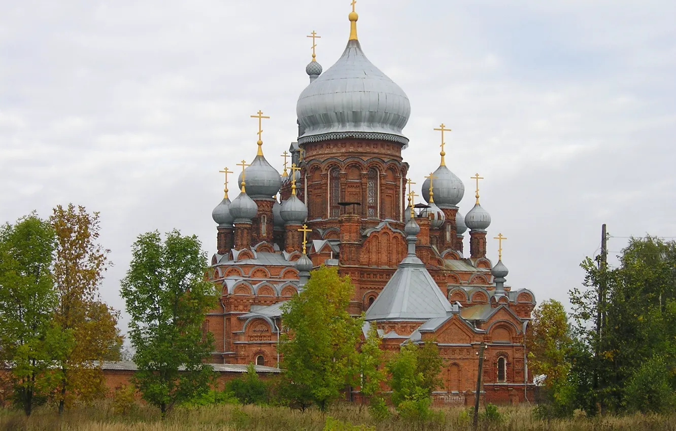 Photo wallpaper trees, Cathedral