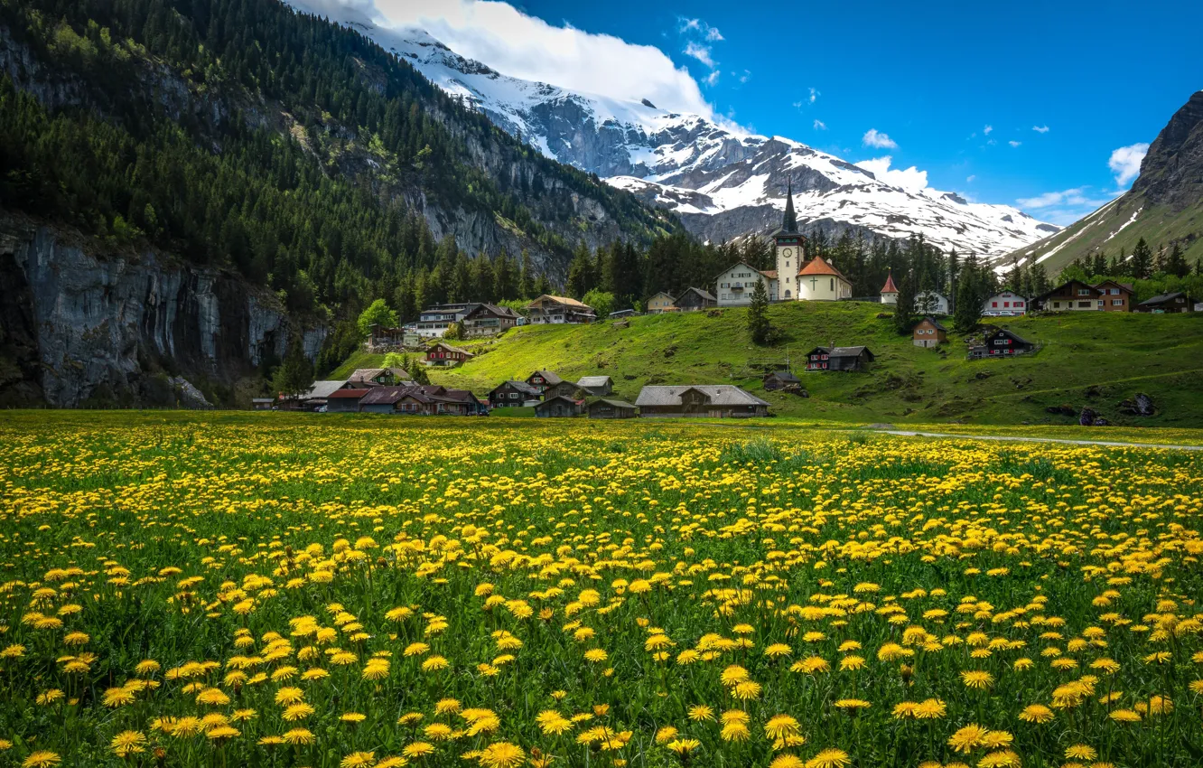 Photo wallpaper flowers, mountains, home, Switzerland, village, Alps, meadow, dandelions