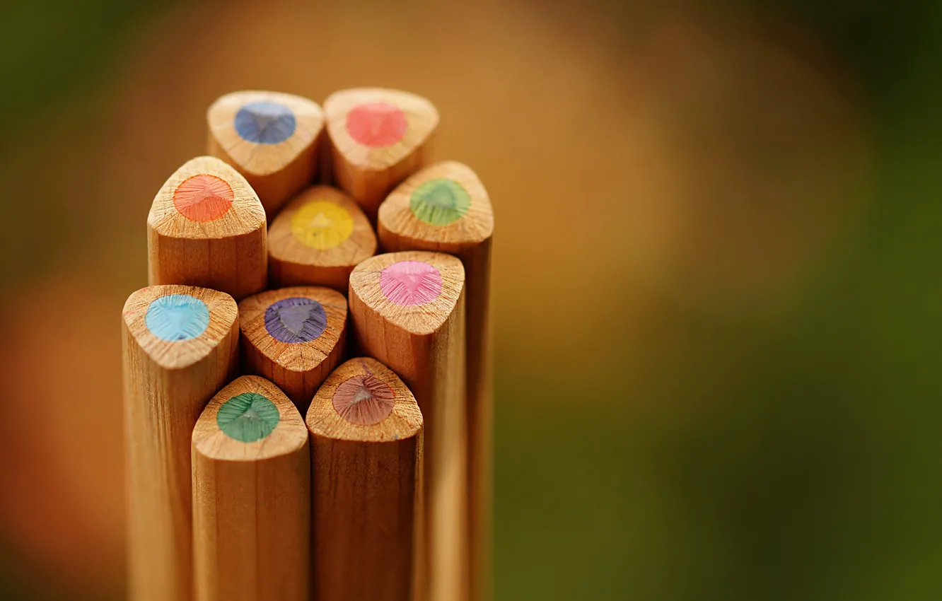 Photo wallpaper color, pencil, colored pencil