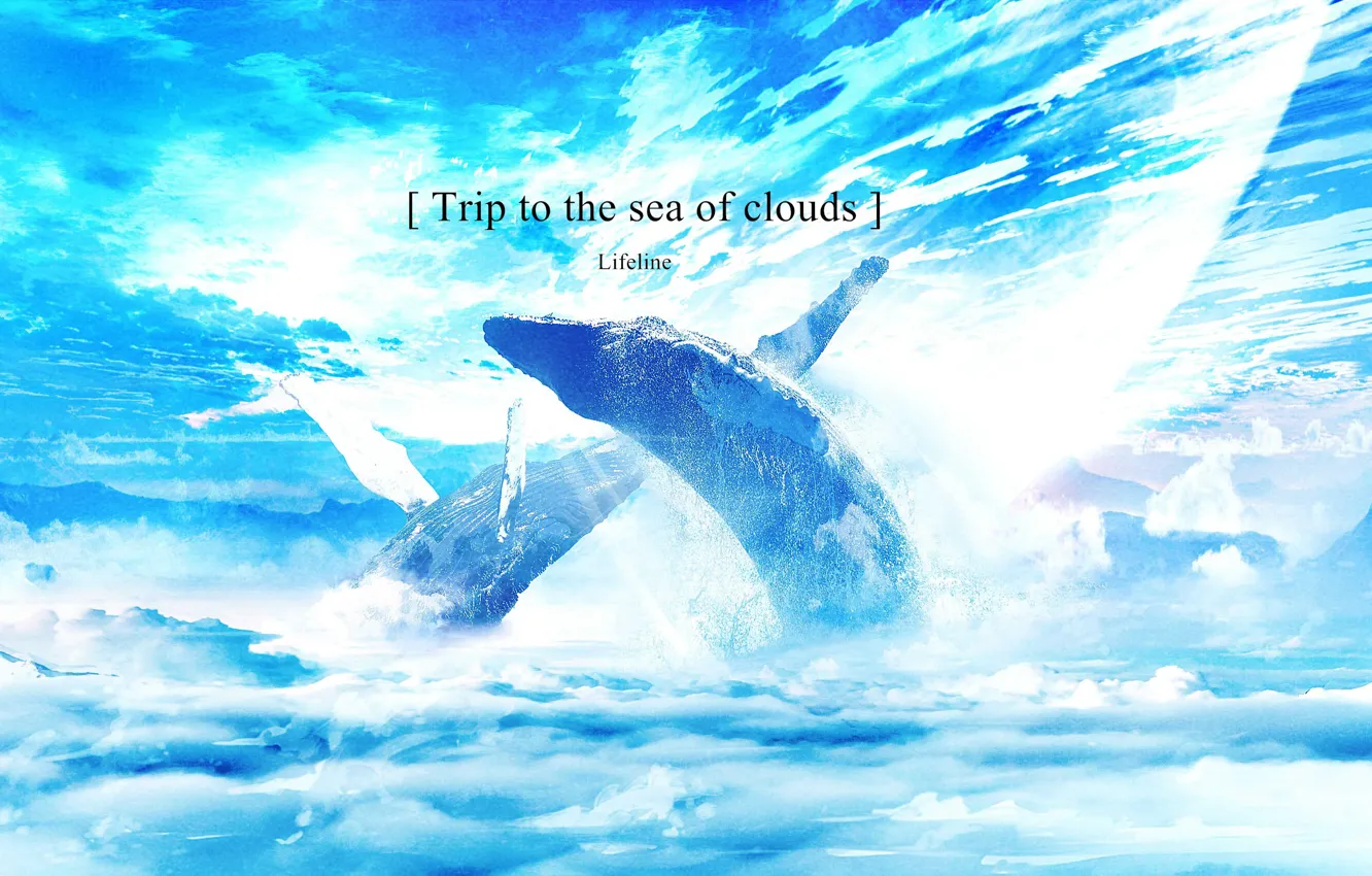 Photo wallpaper clouds, fantasy, whales, phrase