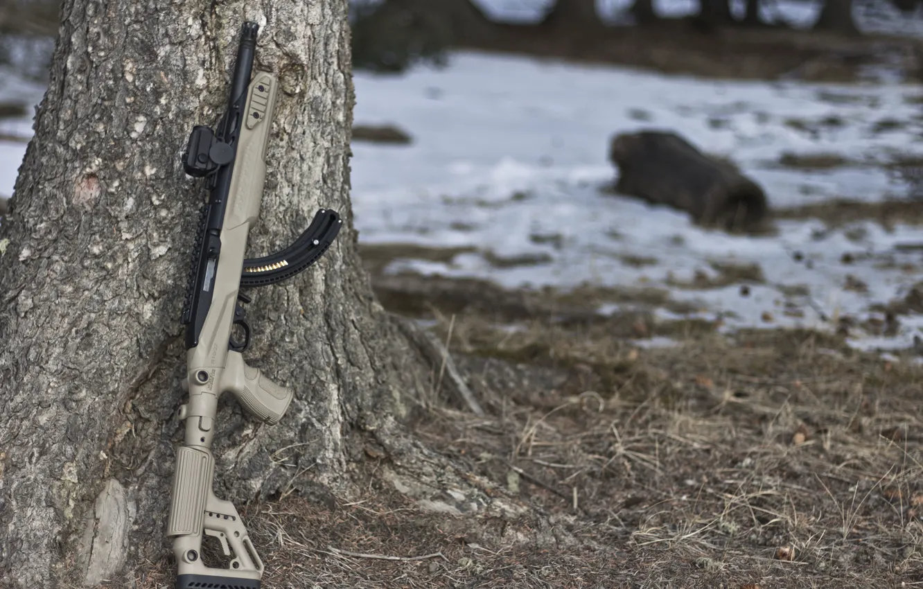 Photo wallpaper weapons, tree, rifle, semi-automatic, Ruger 10/22