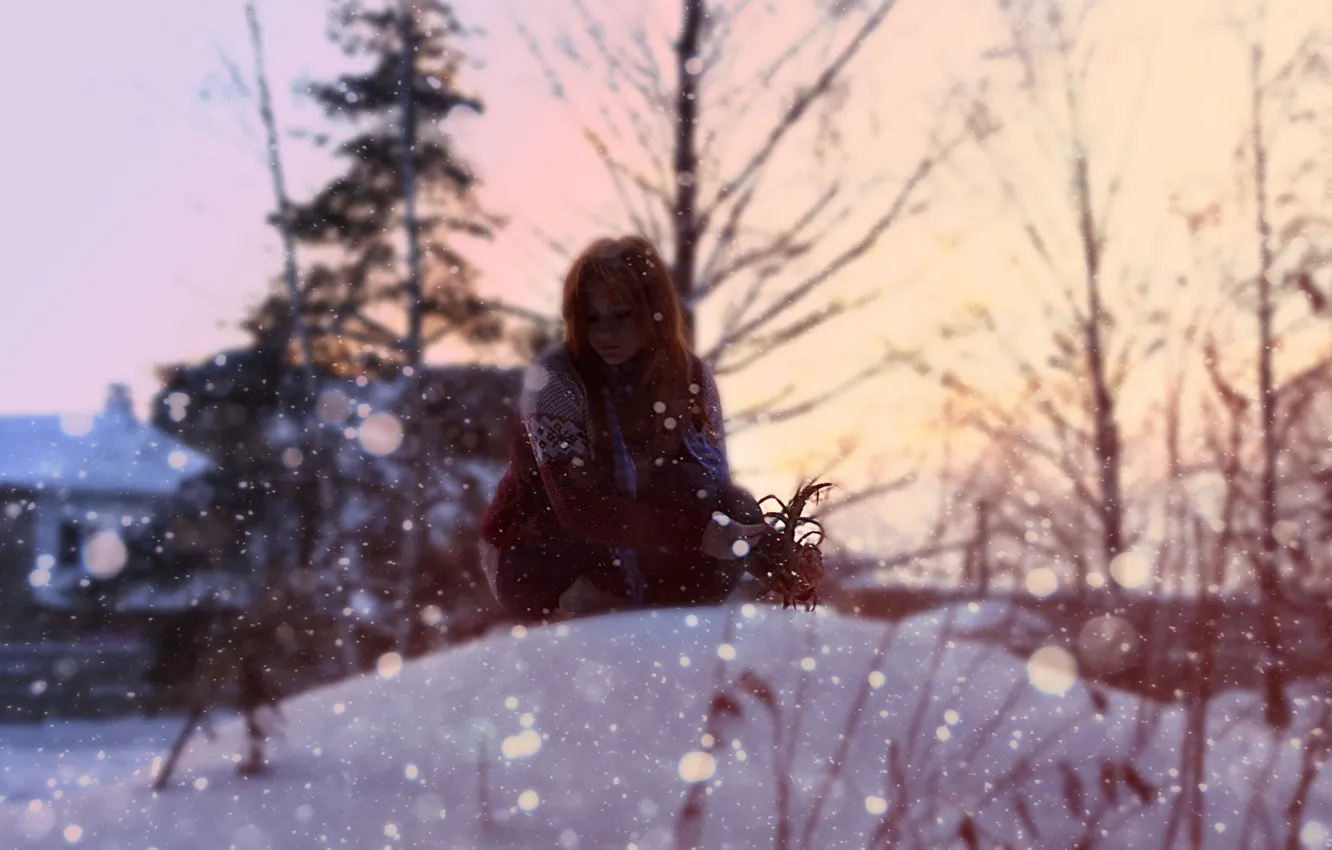 Photo wallpaper winter, girl, snow, red, the bushes
