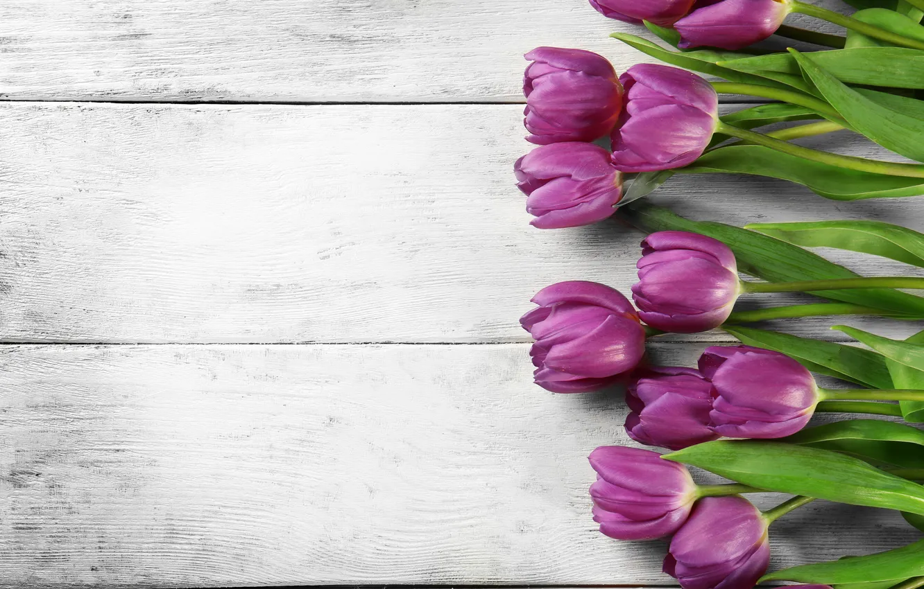 Photo wallpaper flowers, bouquet, tulips, wood, flowers, tulips, spring, purple
