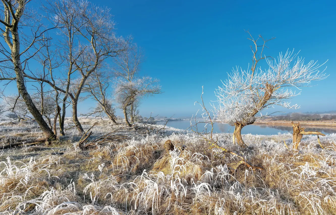 Photo wallpaper cold, winter, frost