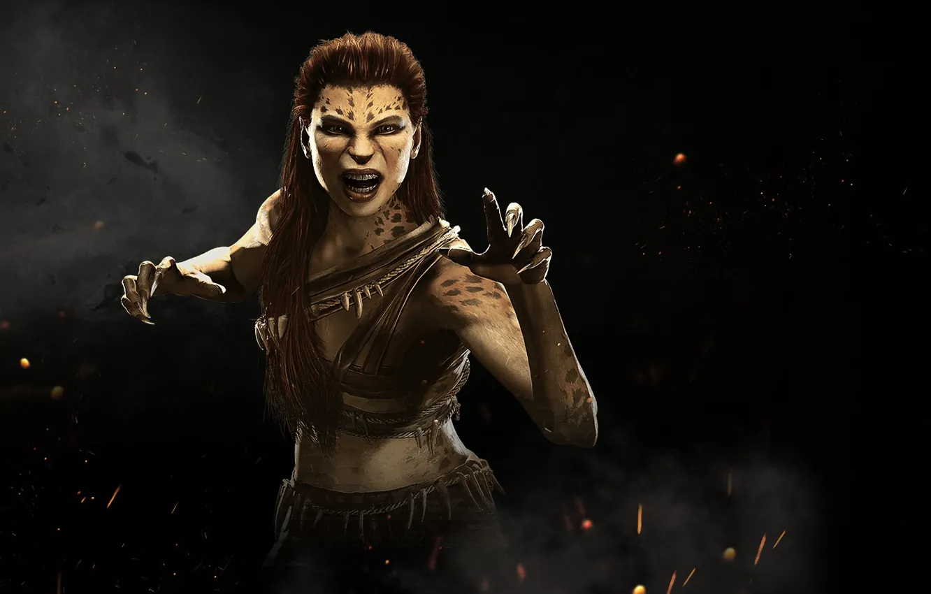 Photo wallpaper game, Cheetah, fighting, NetherRealm Studios, Injustice 2, Barbara Ann Minerva