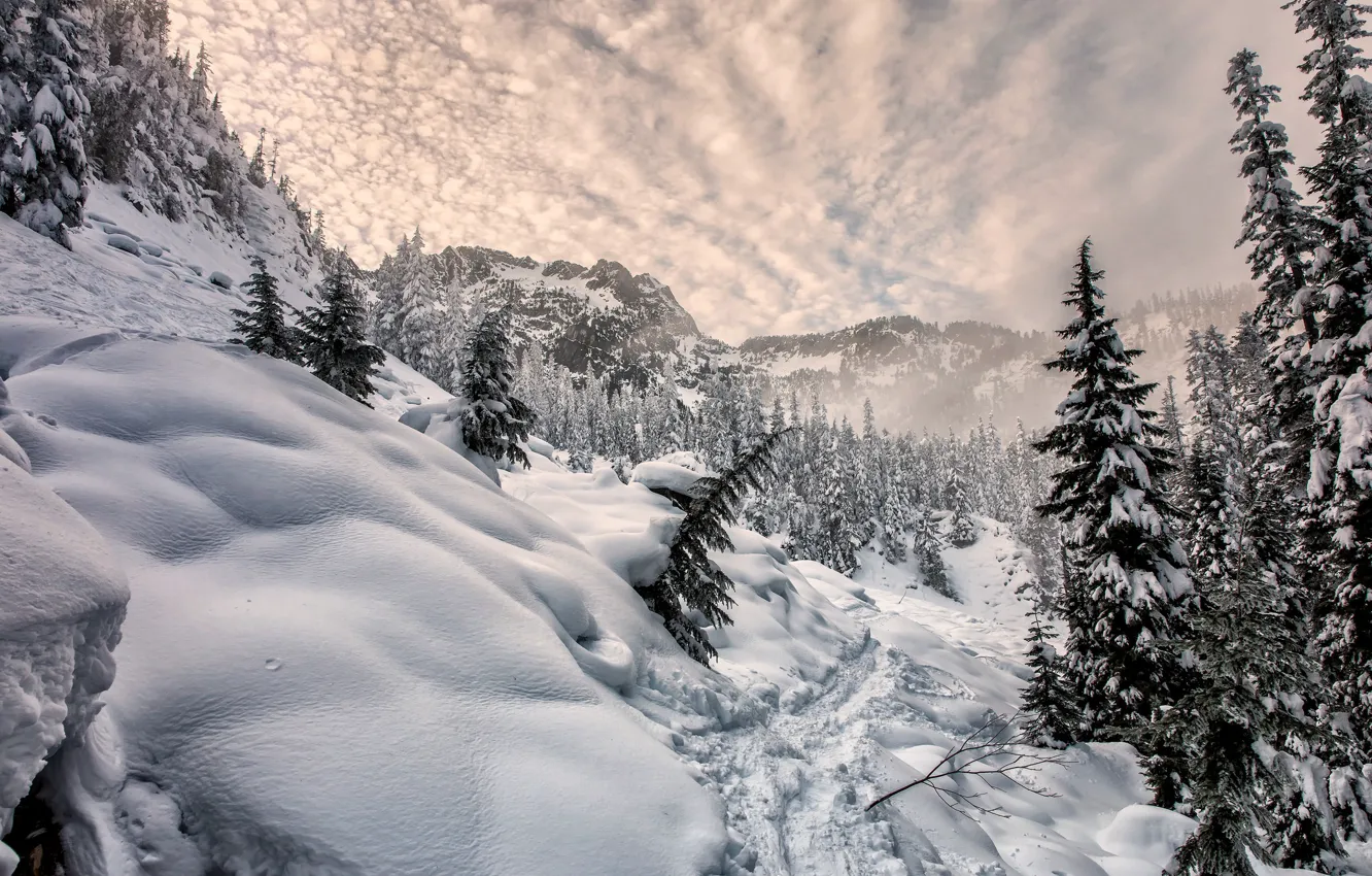 Photo wallpaper winter, snow, mountains