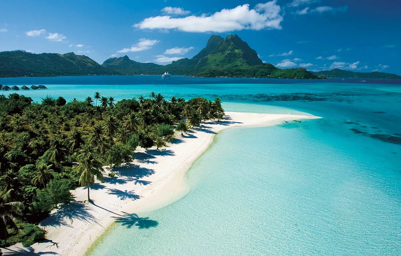 Photo wallpaper beach, palm trees, exotic, Tahiti