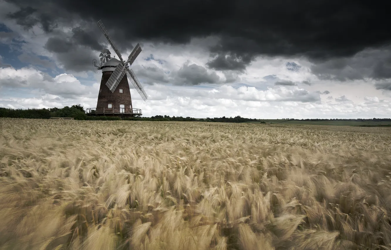 Photo wallpaper storm, windmill, wind, wheat, countryside, wheat field, farmland
