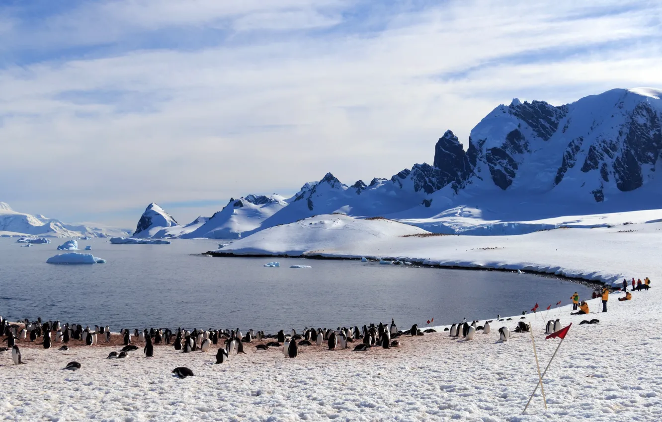 Photo wallpaper people, penguins, Antarctica