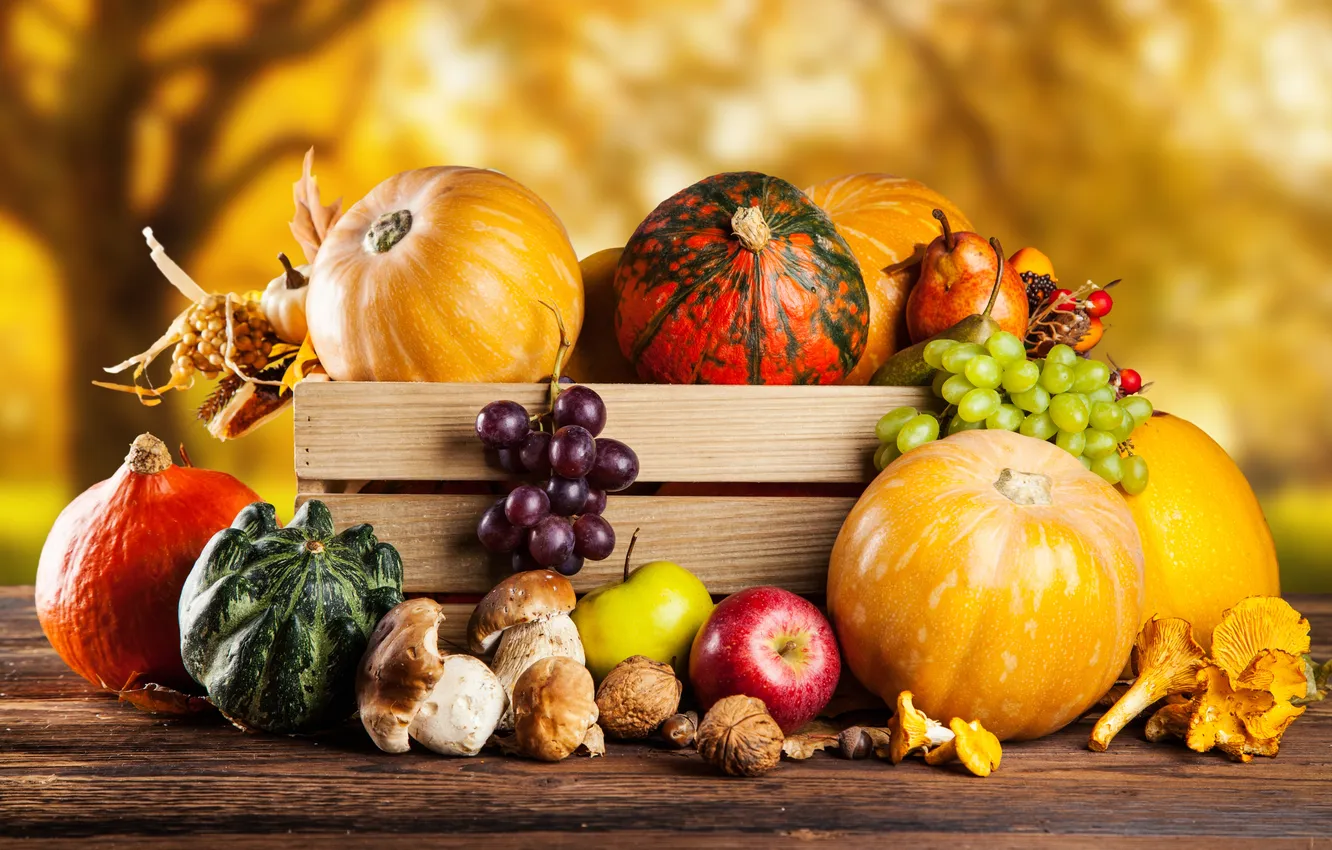 Photo wallpaper autumn, harvest, pumpkin, still life, vegetables, autumn, still life, pumpkin