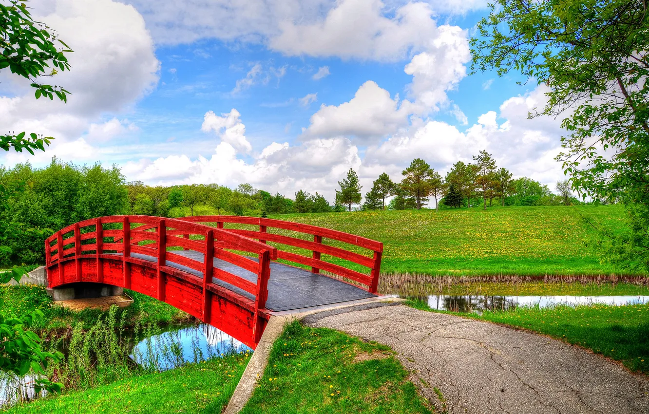 Photo wallpaper the sky, grass, clouds, trees, bridge, Park, stream