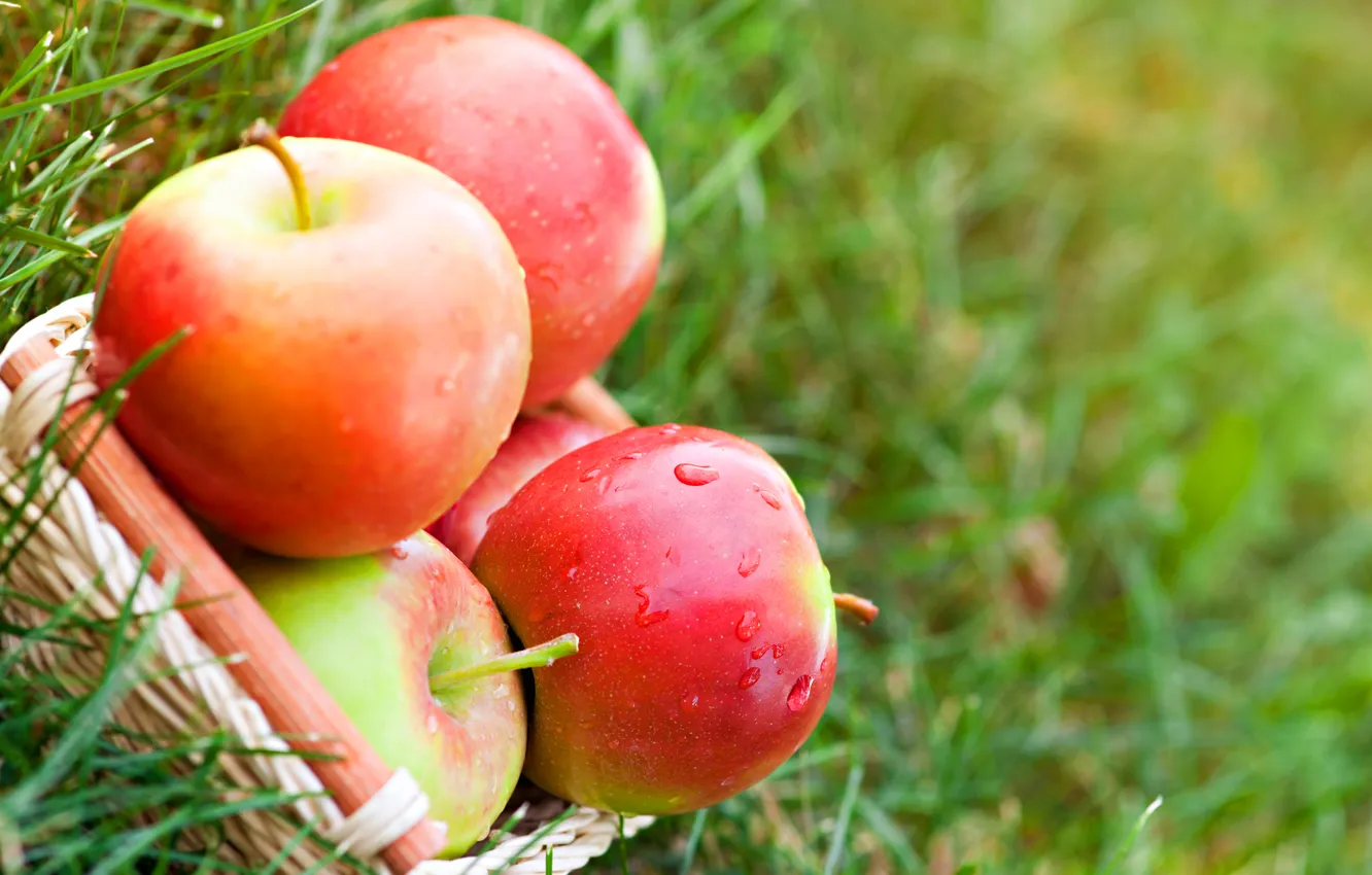 Photo wallpaper grass, drops, red, nature, basket, apples, fruit, basket