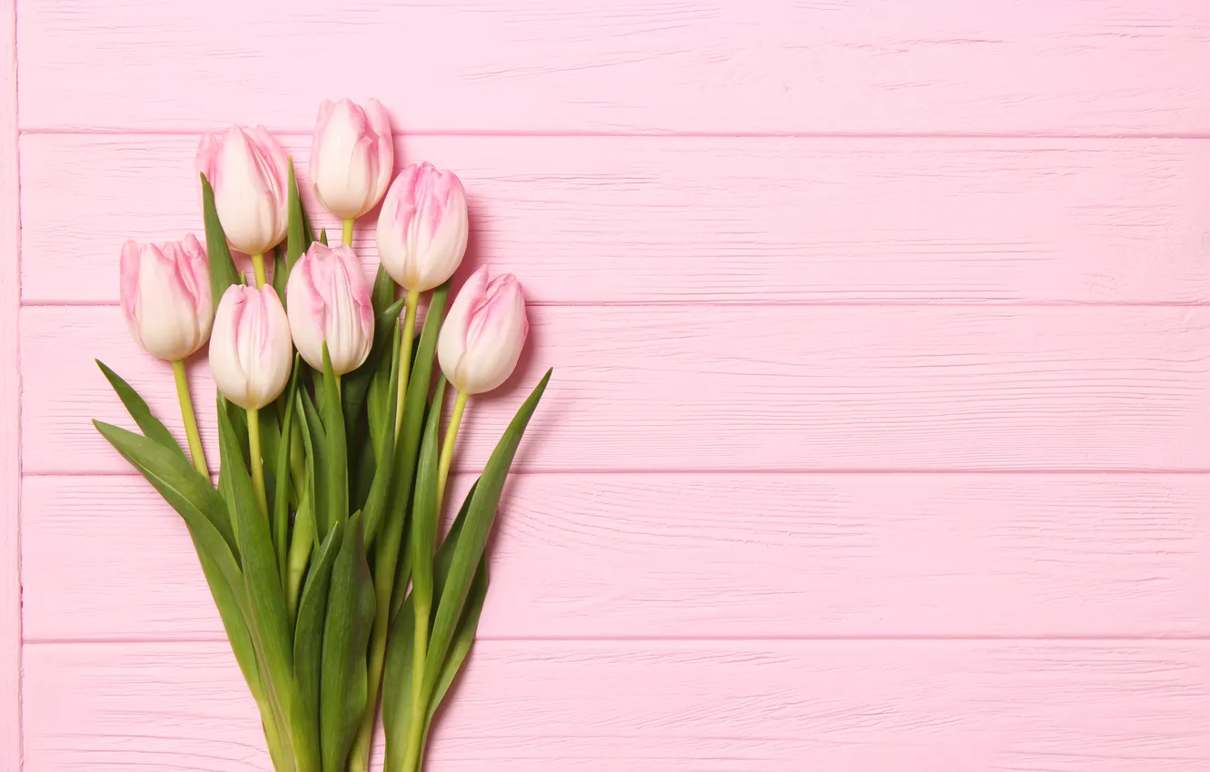 Photo wallpaper flowers, bouquet, tulips, pink, wood, pink, flowers, beautiful