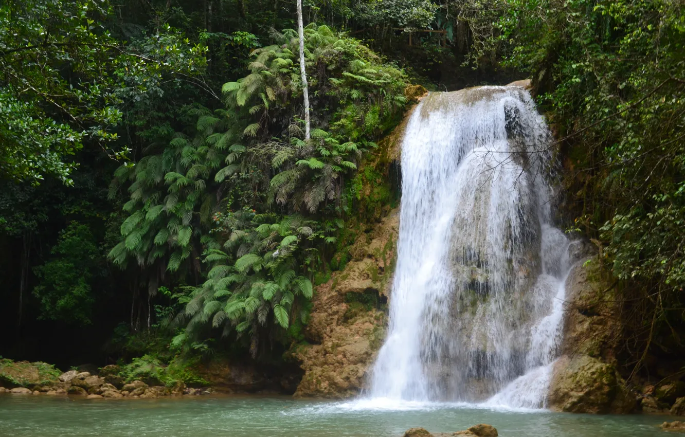 Photo wallpaper greens, water, waterfall, beautiful, Dominican Republic