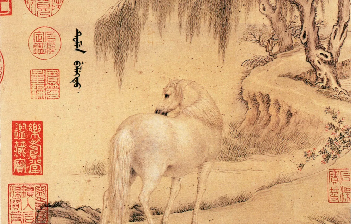 Photo wallpaper letter, horse, Wang Zhicheng