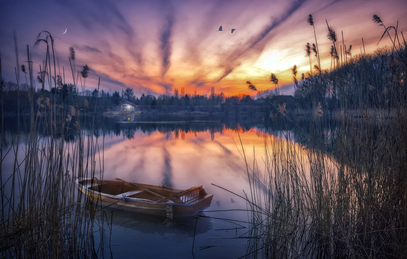 Photo wallpaper sunset, nature, lake, boat, reed