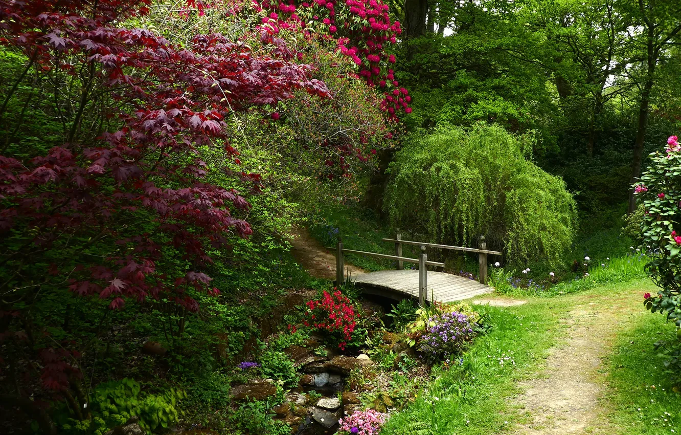 Photo wallpaper greens, trees, flowers, Park, stones, England, the bridge, path