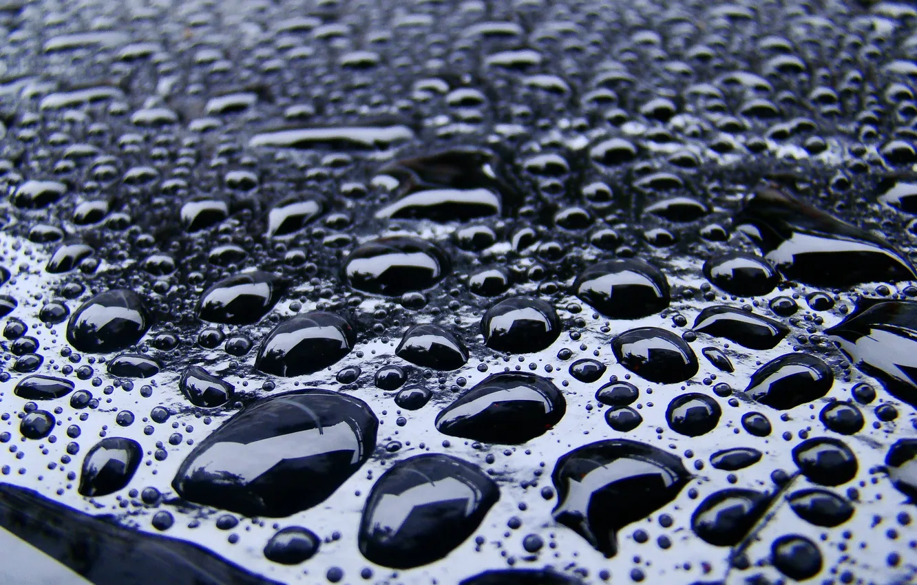 Photo wallpaper rain, black, Shine, Drops, the reflection
