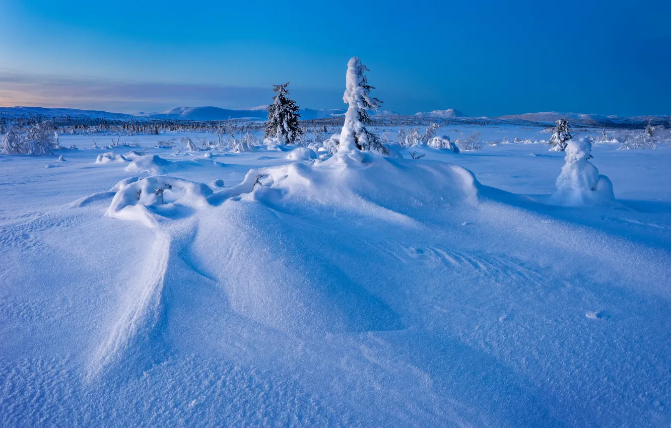 Photo wallpaper winter, snow, trees, the snow, Sweden, Sweden, Lapland, Lapland