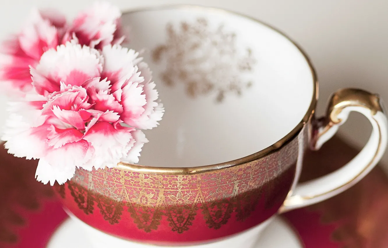 Photo wallpaper flowers, Cup, pink, clove