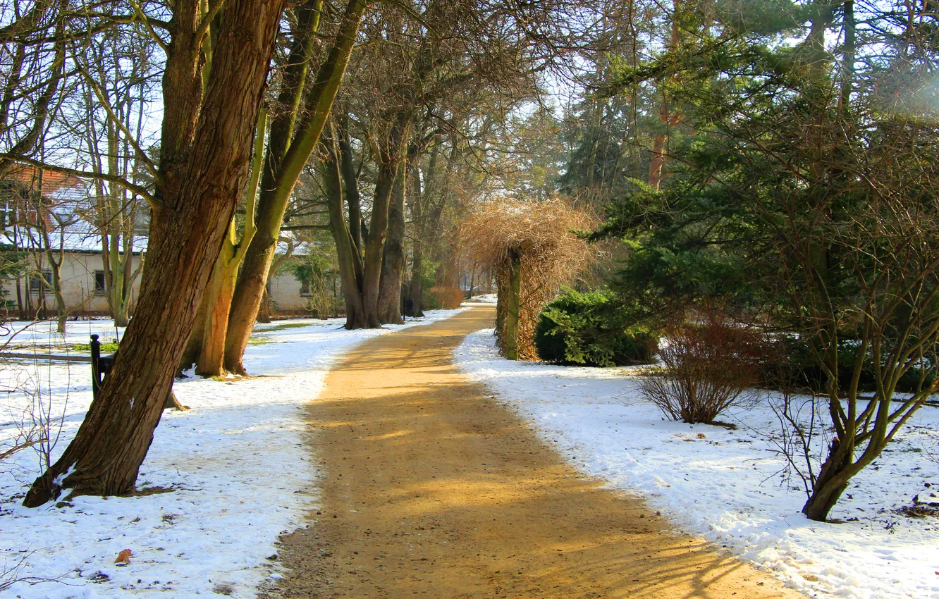Photo wallpaper road, trees, park, alley