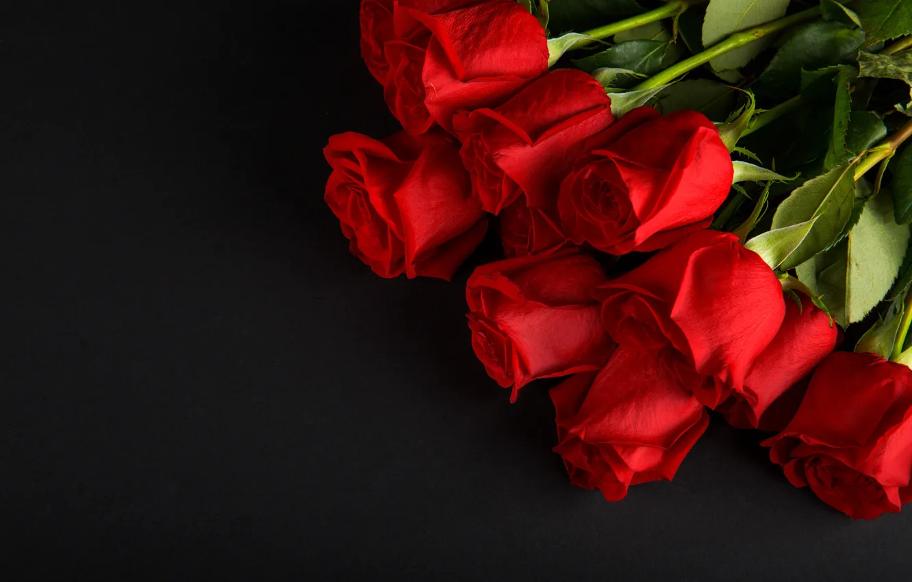Photo wallpaper flowers, roses, bouquet, red, red, buds, flowers, romantic