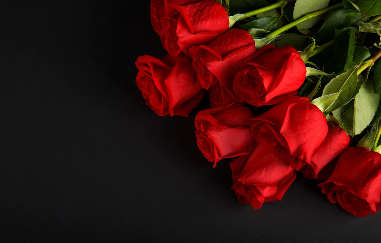 Photo wallpaper flowers, red, roses, bouquet, red, buds, flowers, romantic