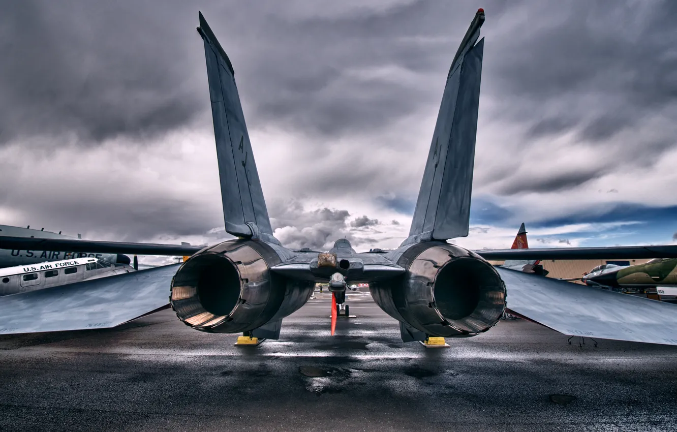 Photo wallpaper wings, pipe, ass