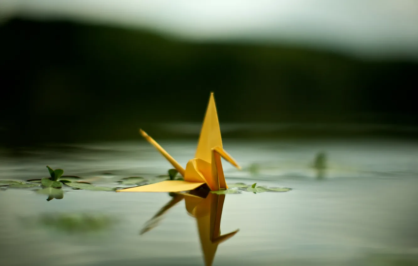 Photo wallpaper pond, crane, origami