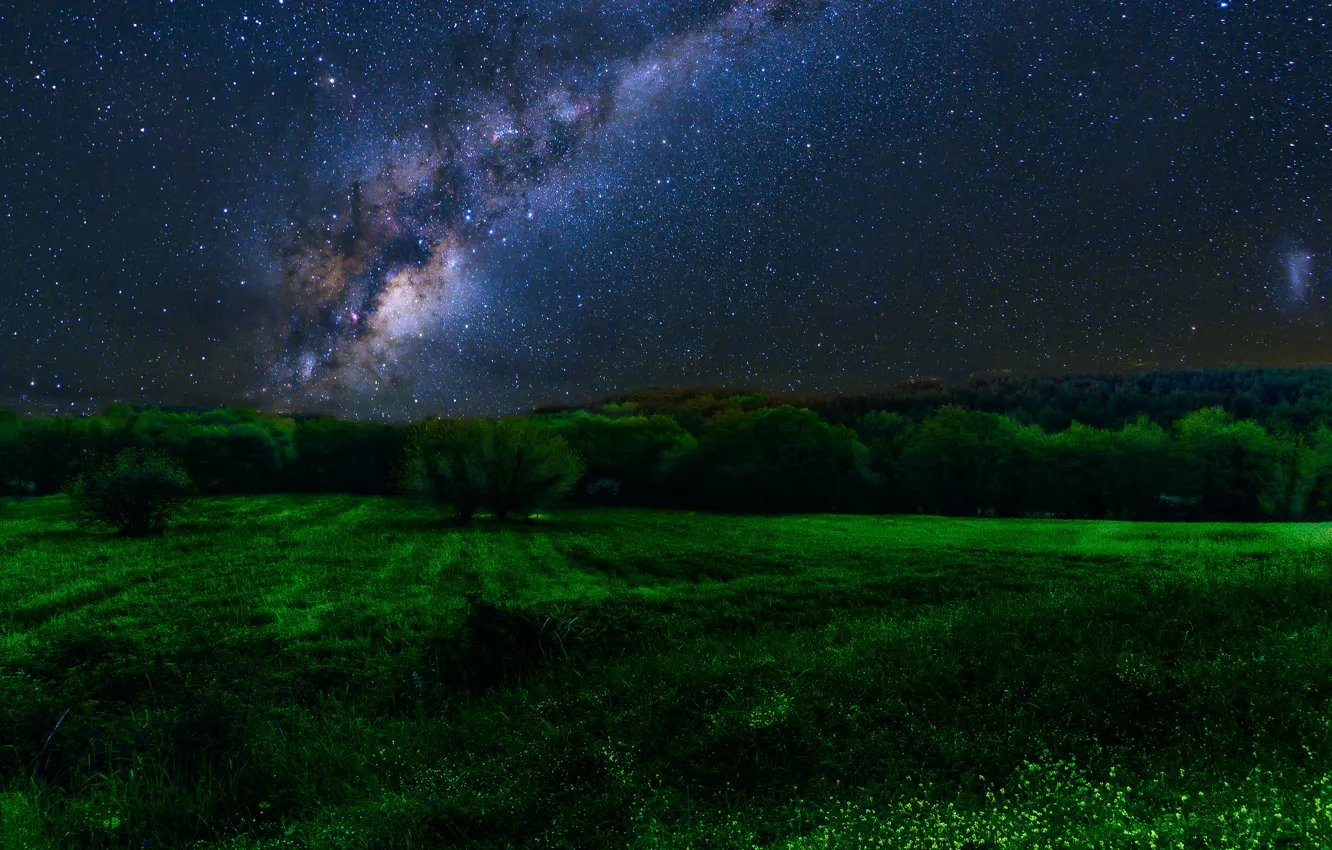 Photo wallpaper field, forest, stars, trees, night, the milky way