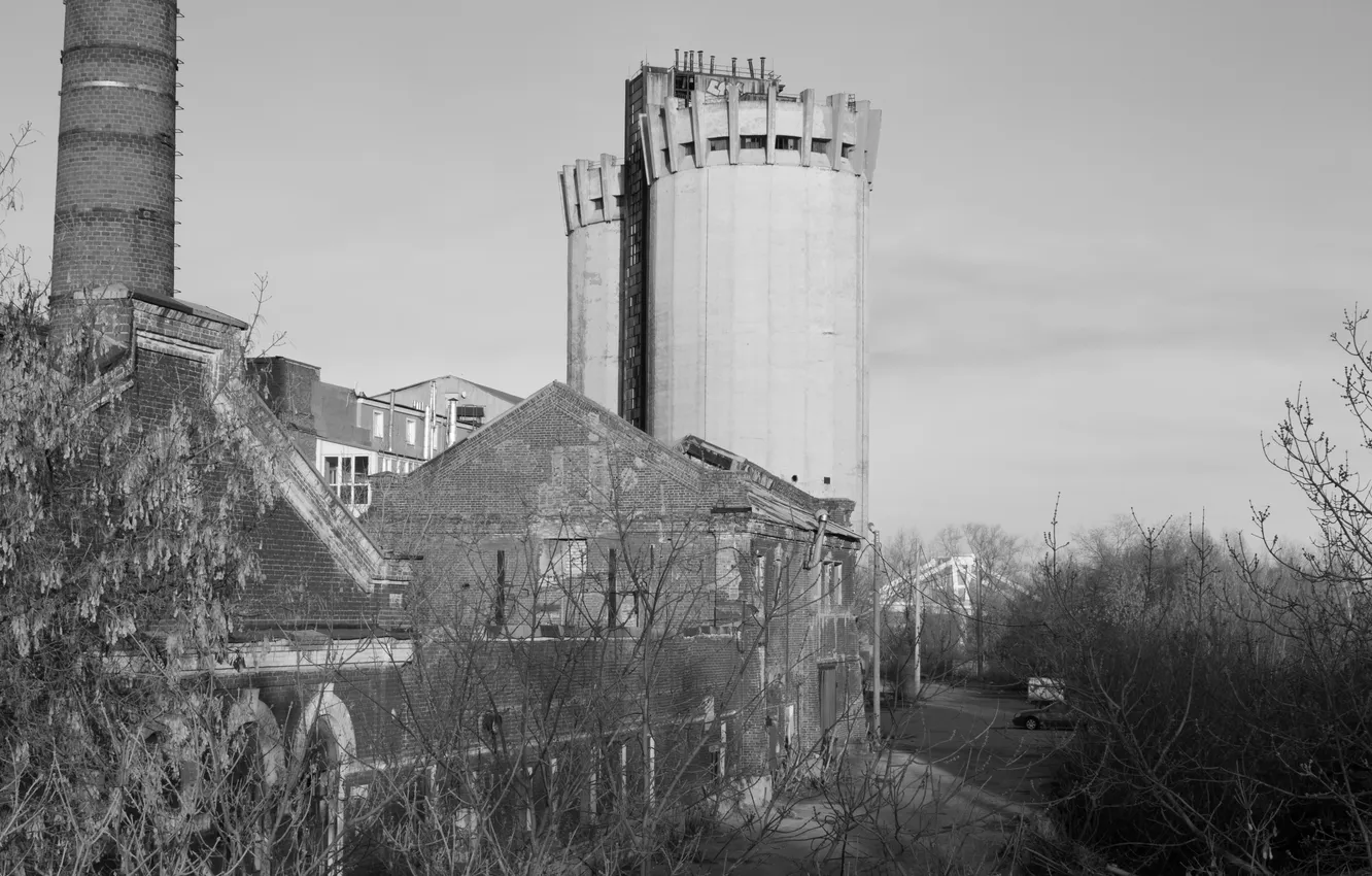 Photo wallpaper the sky, trees, home, black and white, Russia, architecture, monochrome, monochrome