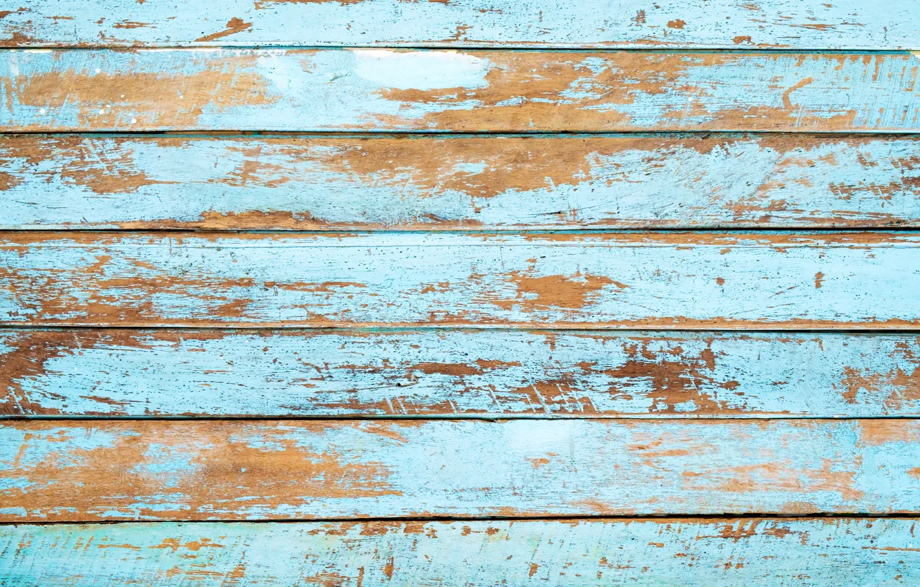 Photo wallpaper background, tree, Board, vintage, wood, texture, blue, background